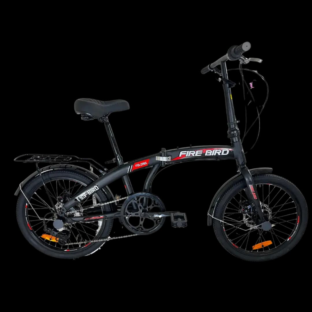 BINPLESCUR bicycle 1