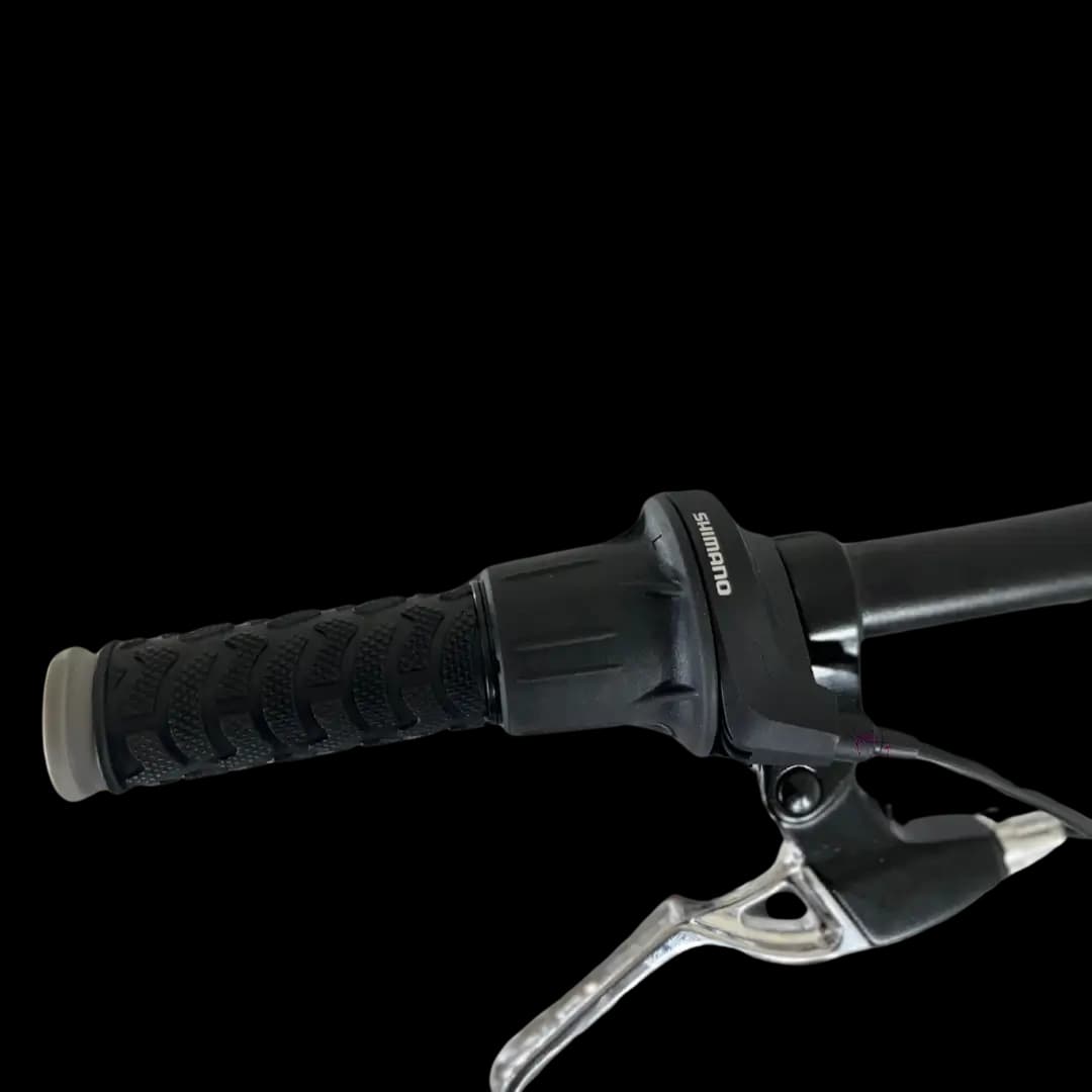 BINPLESCUR bicycle thumbnail 3