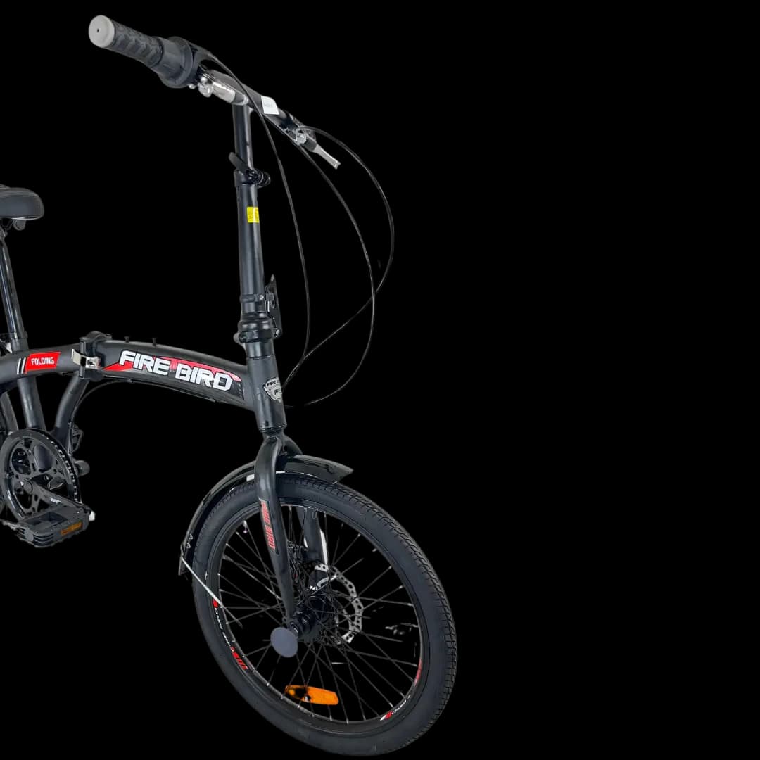 BINPLESCUR bicycle thumbnail 4