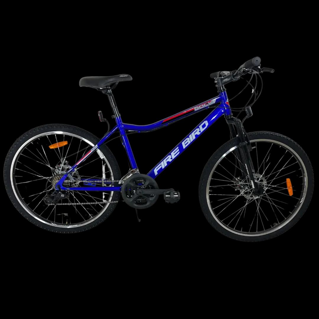 BIN19175 bicycle 1