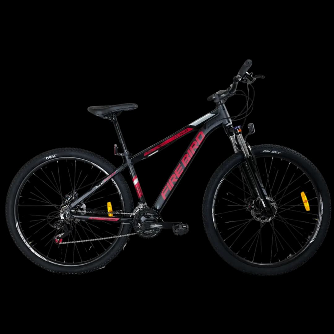 BIN29-21ECO bicycle 1