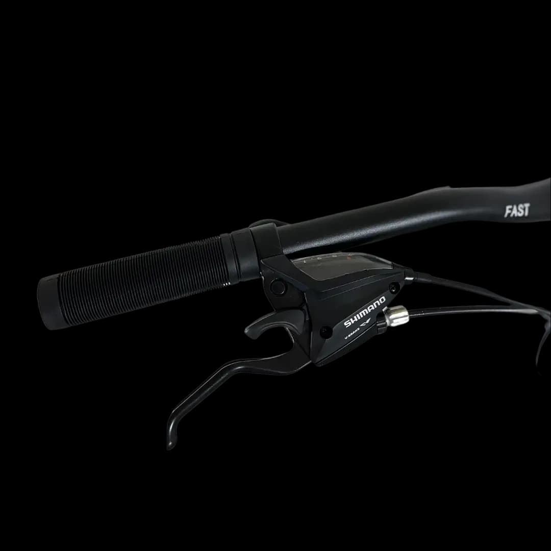 BIN29-21ECO bicycle thumbnail 2