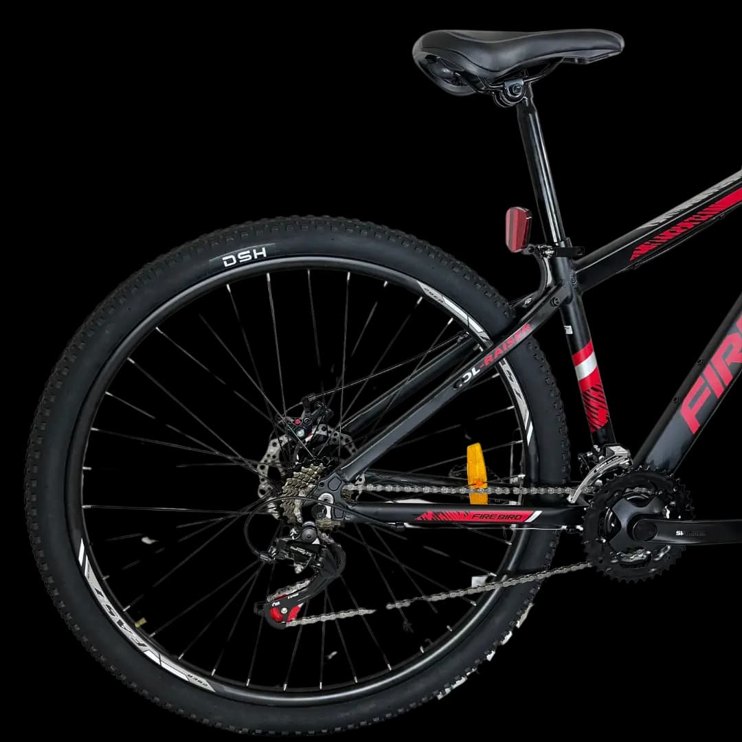 BIN29-21ECO bicycle thumbnail 4
