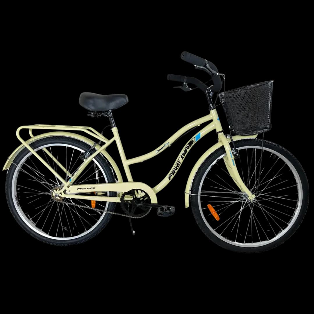BIN19353 bicycle 1