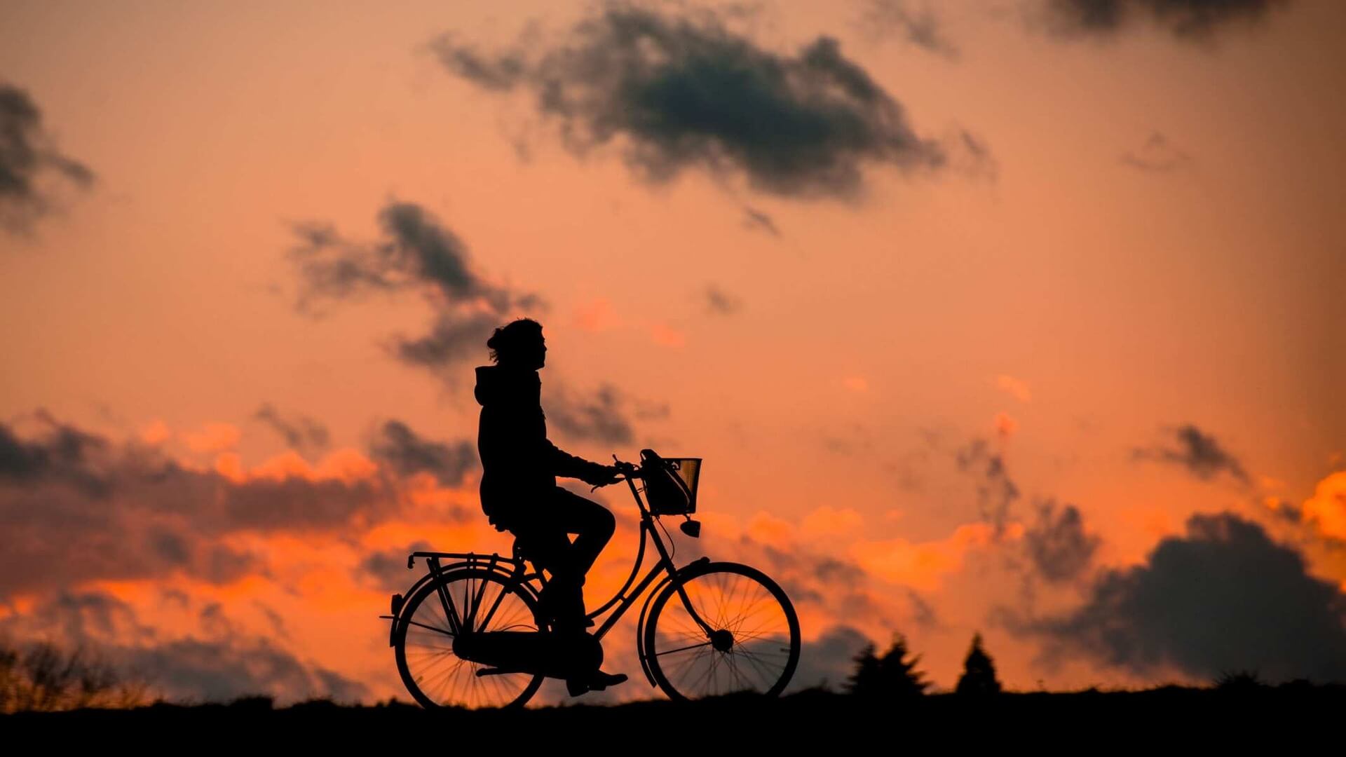 Ciclista en acción