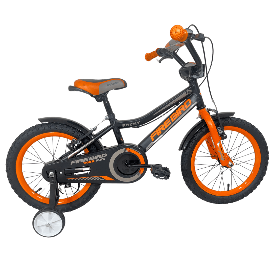 Imagen de la bicicleta BINFB16V