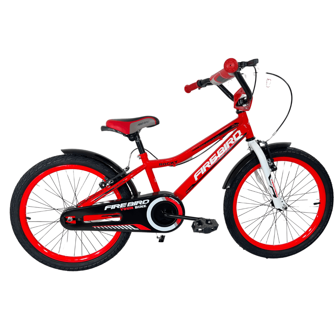 Imagen de la bicicleta BINFB20V